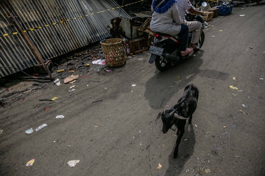 Kondisi Pasar Kambing Tanah Abang Ludes Terbakar