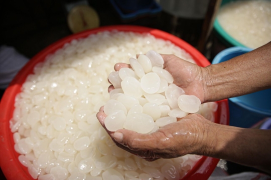 Bulan Ramadan, Kolang-Kaling Mulai diburu