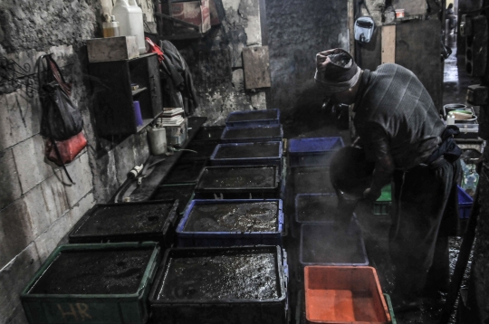 Geliat Industri Cincau Hitam di Masa Pandemi