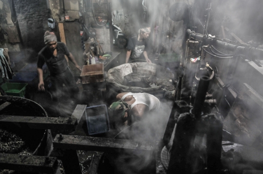 Geliat Industri Cincau Hitam di Masa Pandemi