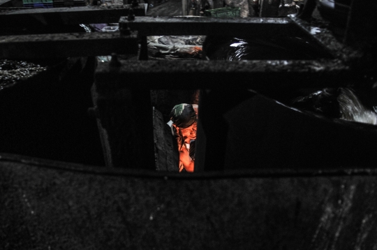 Geliat Industri Cincau Hitam di Masa Pandemi