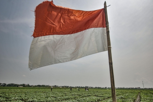 Panen Rupiah dari Blewah