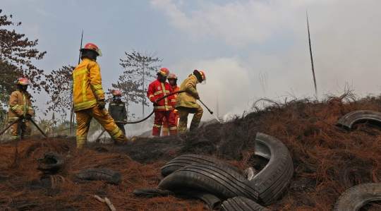 Sudah 4 Hari Kebakaran Lapak Ban Bekas di Bogor Belum Padam