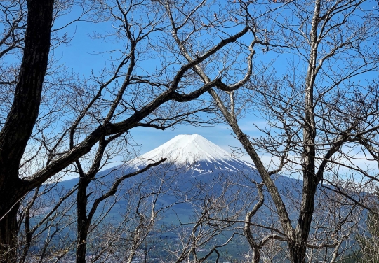 Memandangi Keindahan Gunung Fuji dari Kota Fujiyoshida