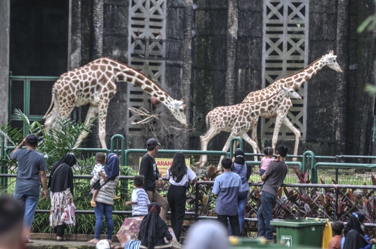 Menikmati Libur Lebaran di Taman Margasatwa Ragunan