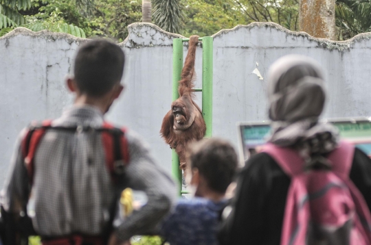 Menikmati Libur Lebaran di Taman Margasatwa Ragunan