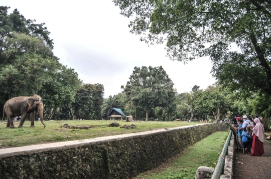 Menikmati Libur Lebaran di Taman Margasatwa Ragunan