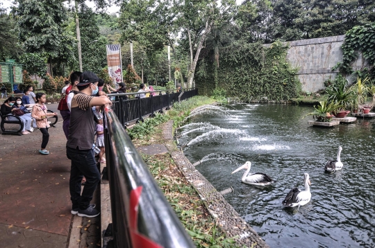 Menikmati Libur Lebaran di Taman Margasatwa Ragunan