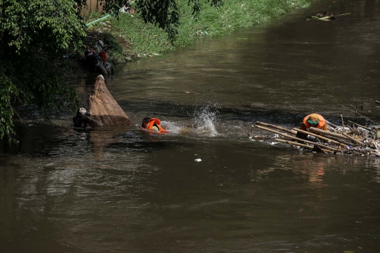 Perjuangan Petugas PPSU Bersihkan Sampah di Aliran Deras Kali Ciliwung