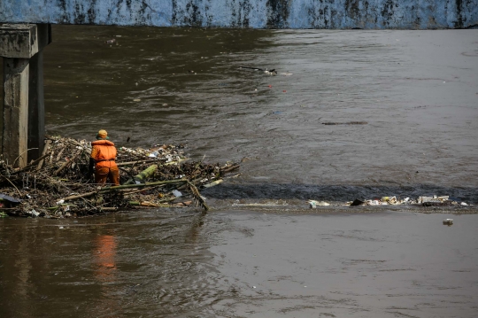 Perjuangan Petugas PPSU Bersihkan Sampah di Aliran Deras Kali Ciliwung