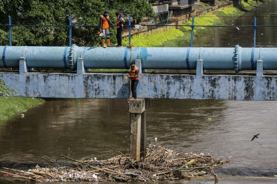 Perjuangan Petugas PPSU Bersihkan Sampah di Aliran Deras Kali Ciliwung