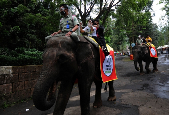 Terapkan Protokol Kesehatan, Wisatawan Padati Taman Safari Indonesia