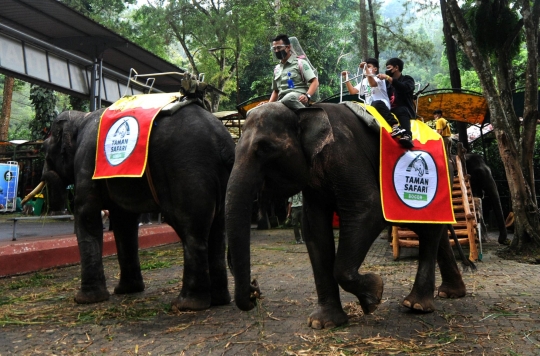 Terapkan Protokol Kesehatan, Wisatawan Padati Taman Safari Indonesia