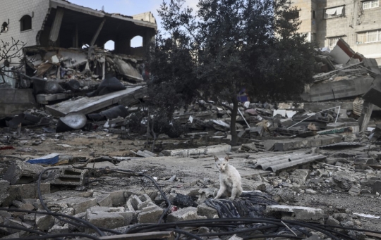 Meratapi Puing-Puing Bekas Serangan Udara Israel di Gaza