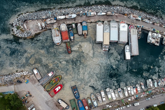 Penampakan Ingus Laut Cemari Pantai di Istanbul