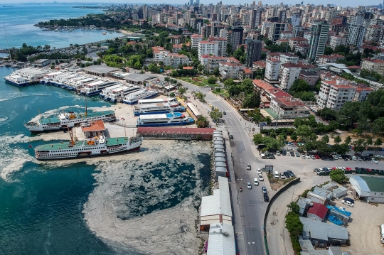 Penampakan Ingus Laut Cemari Pantai di Istanbul