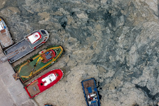 Penampakan Ingus Laut Cemari Pantai di Istanbul