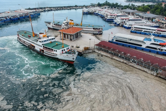 Penampakan Ingus Laut Cemari Pantai di Istanbul