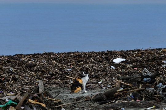 Lautan Sampah Cemari Pantai di Banda Aceh