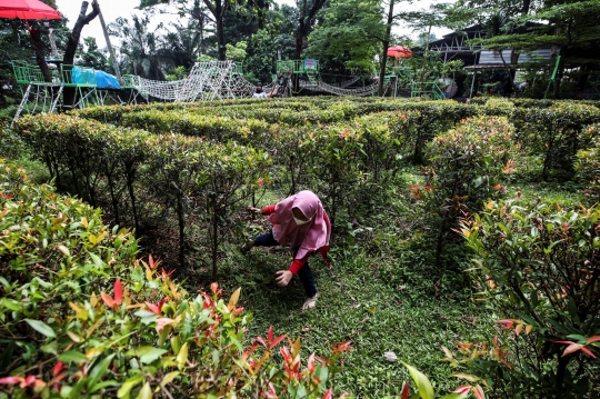 Kampung Main Cipulir Jadi Tempat Liburan Alternatif Warga di Masa Pandemi