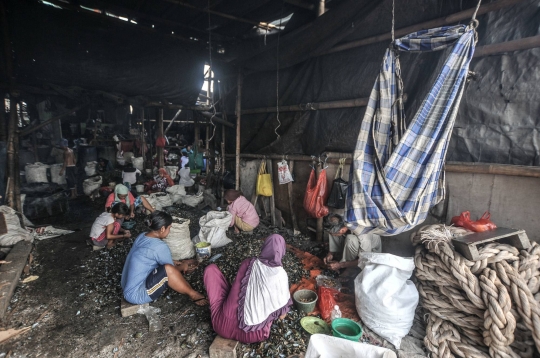 Geliat Pengupas Kerang Hijau di Utara Jakarta