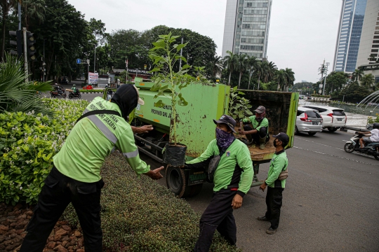 Bunga Matahari Percantik Kawasan Bundaran HI