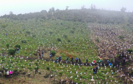 Penguburan Abu Korban Covid-19 di Kolombia