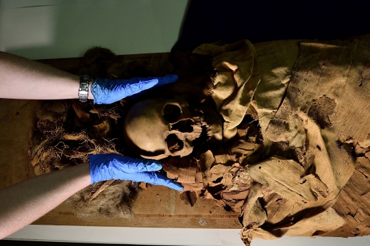 Mengungkap Rahasia Mumi Mesir Kuno dengan CT Scan