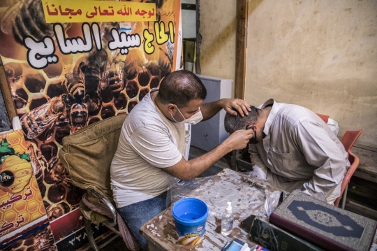 Mengobati Rematik dengan Terapi Sengat Lebah di Mesir