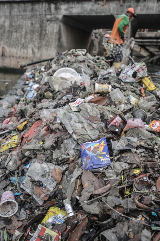 Pembersihan Sampah di Waduk Cincin