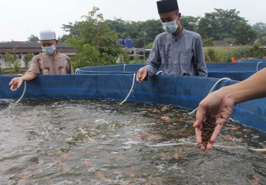 Pesantren di Bogor Ajarkan Santri Membudidaya Ikan Nila