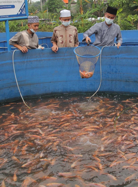 Pesantren di Bogor Ajarkan Santri Membudidaya Ikan Nila