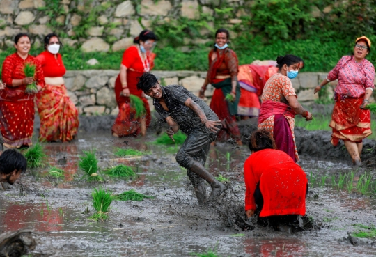 Keseruan Petani Nepal Main Lumpur di Hari Padi Nasional