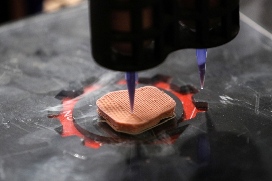 Mencicipi Daging Steak Nabati yang Dibuat dengan Printer 3D