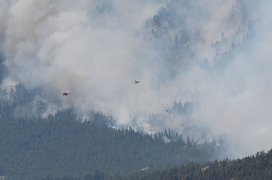Gelombang Panas Picu Kebakaran Hutan di Kanada
