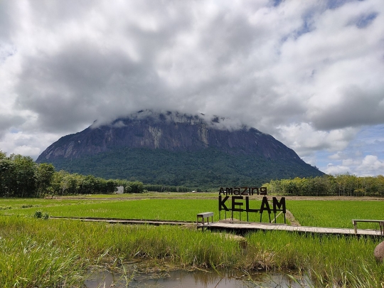 Bukit Kelam, Batu Monolit Terbesar di Dunia yang Kalah Pamor dari Uluru