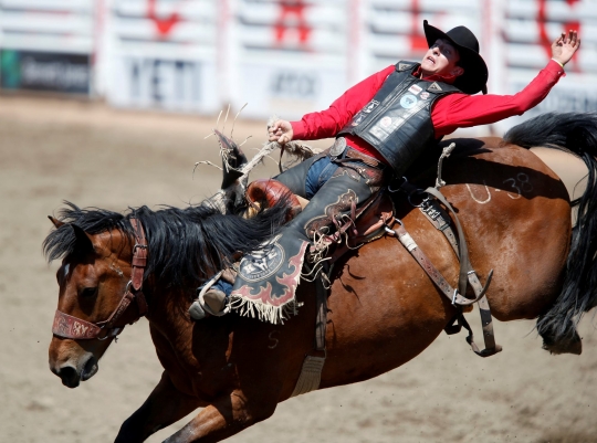 Aksi Koboi Susah Payah Kendalikan Kuda dan Banteng Saat Rodeo