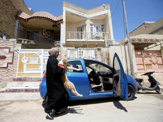 Wanita Irak Dirikan Penampungan Anjing Liar di Rumahnya