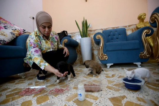 Wanita Irak Dirikan Penampungan Anjing Liar di Rumahnya