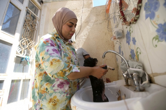 Wanita Irak Dirikan Penampungan Anjing Liar di Rumahnya
