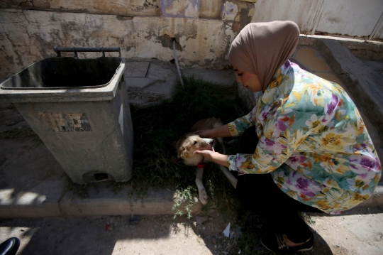 Wanita Irak Dirikan Penampungan Anjing Liar di Rumahnya