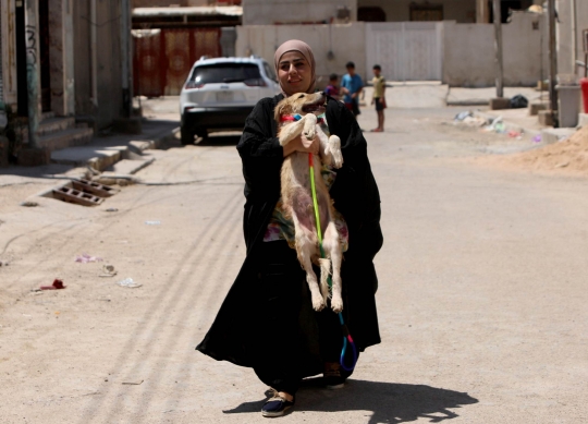 Wanita Irak Dirikan Penampungan Anjing Liar di Rumahnya