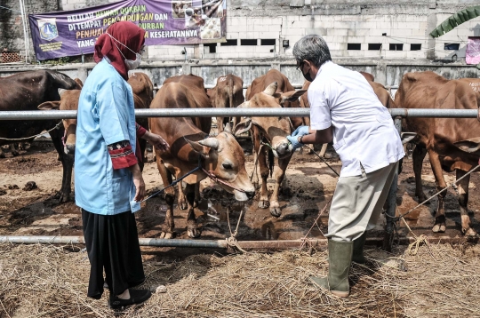 Pemeriksaan Kesehatan Hewan Kurban di Masa Pandemi