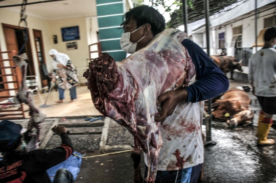 Penyembelihan Hewan Kurban di Masa Pandemi