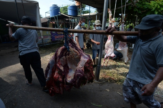 Keceriaan Anak-Anak Menyaksikan Penyembelihan Hewan Kurban