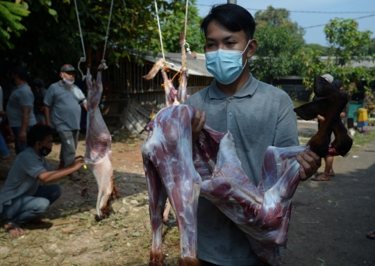 Keceriaan Anak-Anak Menyaksikan Penyembelihan Hewan Kurban