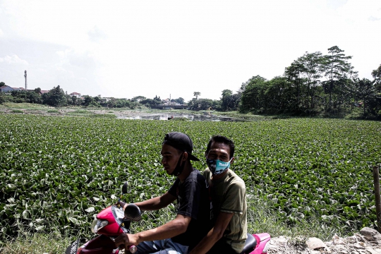 Kurang Perawatan, Setu Pengarengan Dipenuhi Eceng Gondok