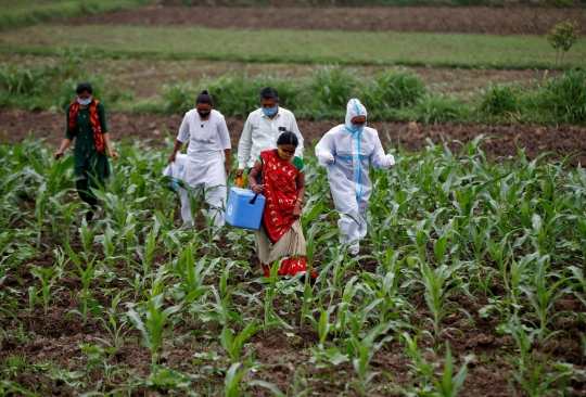 Perjuangan Tenaga Kesehatan India Jalan Kaki Lewat Ladang Demi Vaksinasi Warga