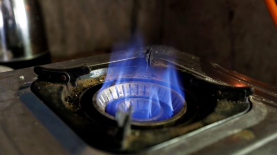 Pengusaha Kenya Sulap Eceng Gondok Jadi Biogas