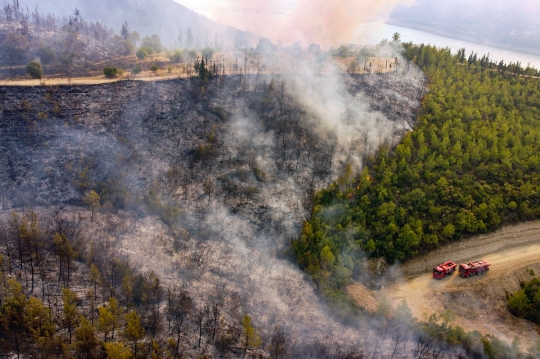 Kondisi Hutan di Turki yang Dilanda Kebakaran Hebat